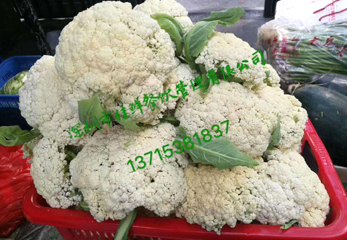 食堂蔬菜花菜配送